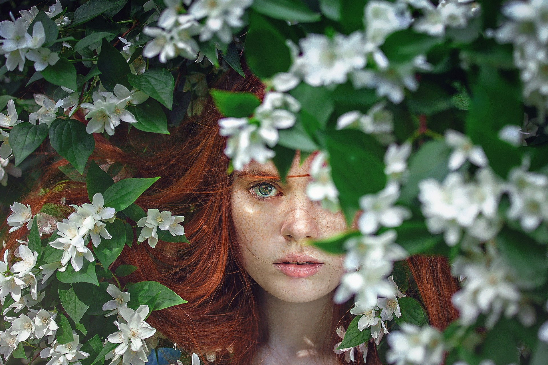 Portrait professionnel d'exception